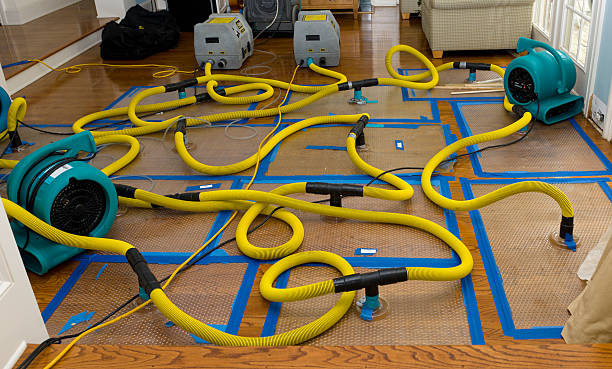 Professional Burst Pipe Water Damage technician working in Horace, ND
